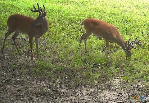 Tbd2 County Road 19, Garwood, TX 77442