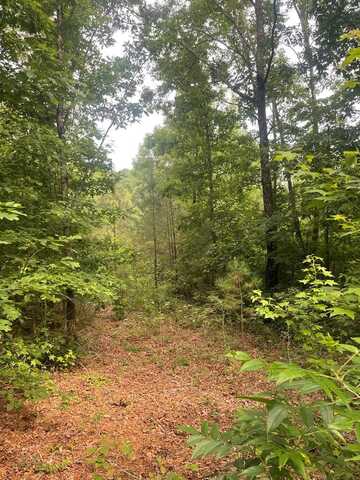 Joe Milam Rd, BUCHANAN, TN 38222