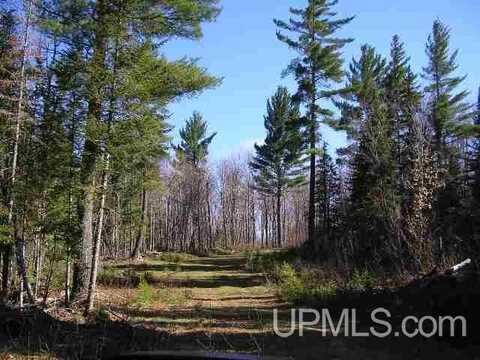 240 Acres Off Schultz, Ralph, MI 49877