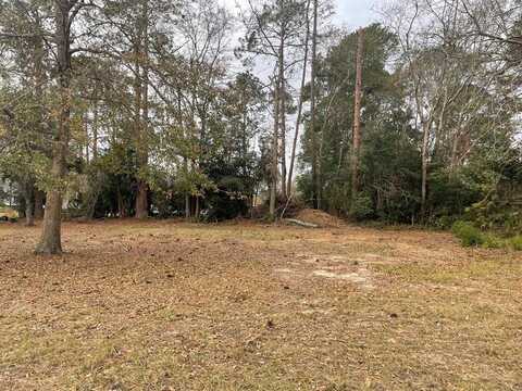 Lot 56 McLean Street, Claxton, GA 30417