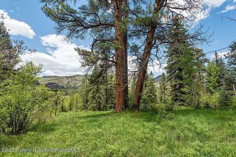 Tbd Firehouse Road, Redstone, CO 81623