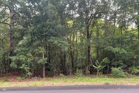 Lot 14 Fairway Lane, Barnwell, SC 29812