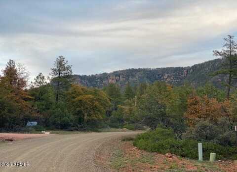 -- Manzanita Trail, Pine, AZ 85544