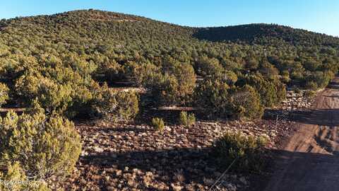 Tbd County Rd N 3314 --, Vernon, AZ 85940