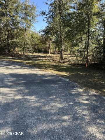31 Indian Bluff Drive, Youngstown, FL 32466