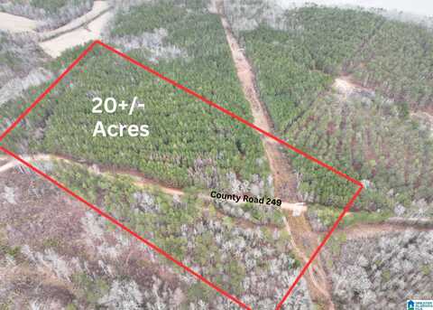 20+/- Acres COUNTY ROAD 249, WEDOWEE, AL 36278