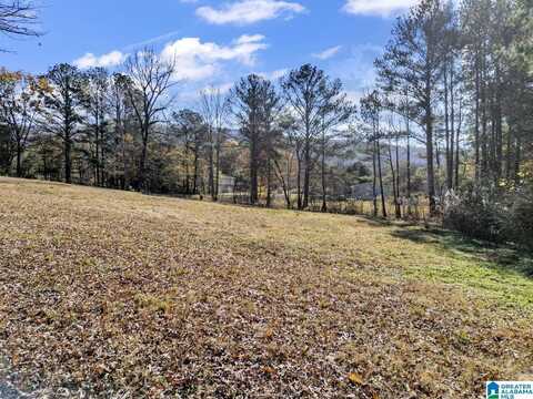 4255 KELLY CREEK ROAD, ODENVILLE, AL 35120