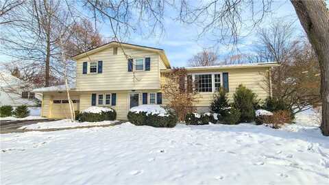 117 Warwick Place, Ithaca, NY 14850