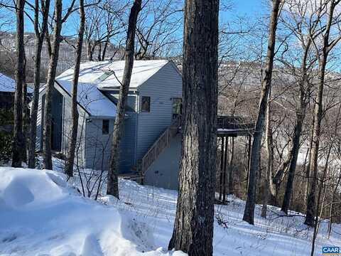 100 NORTH ROCK TREE LN, WINTERGREEN RESORT, VA 22967