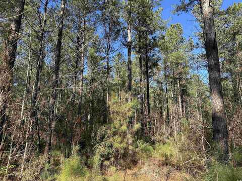 TBD Easler Hwy, Greeleyville, SC 29056