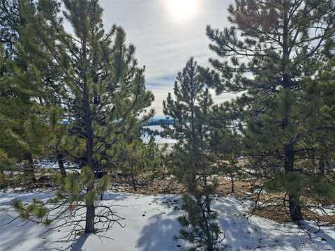 56 Mesa Verde Way, Hartsel, CO 80449