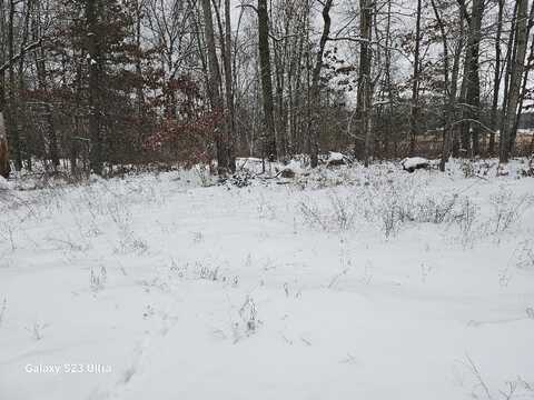 Lot 47 Parkwood, Gladwin, MI 48624