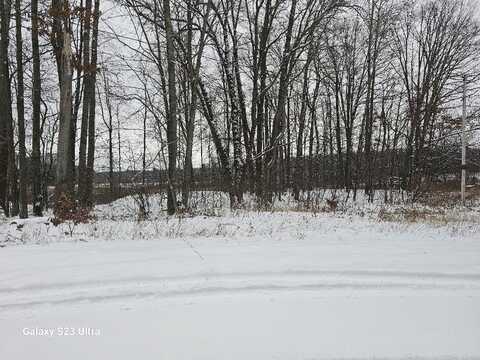 Lot 48 Parkwood, Gladwin, MI 48624