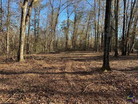 0 Peach Pkwy/Bible Camp Road, Fort Valley, GA 31030