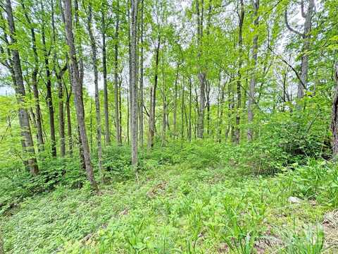 Tbd Caldwell Mountain Road, Hot Springs, NC 28743