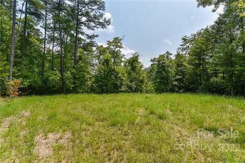 Lot 4 The Vines Boulevard, Marshall, NC 28753