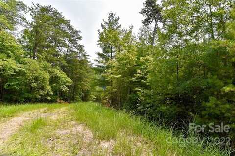 The Vines Boulevard lot: 22, Marshall, NC 28753