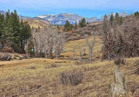 TBD Albert Place, Pagosa Springs, CO 81128