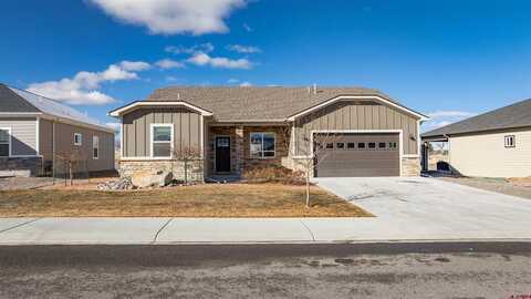 3808 Scarlet Court, Montrose, CO 81401