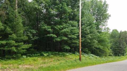 ON HORSESHOE ROAD, Tomahawk, WI 54487