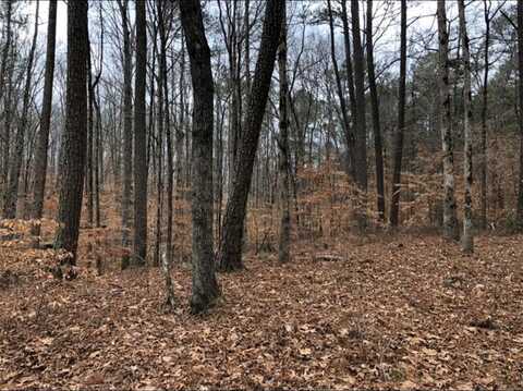 0 Clan Street, Alpharetta, GA 30004