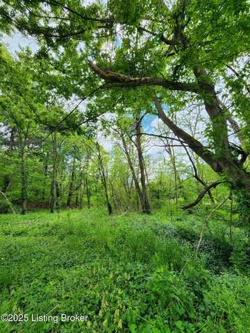 0000 Rineyville Big Springs Rd, Rineyville, KY 40162