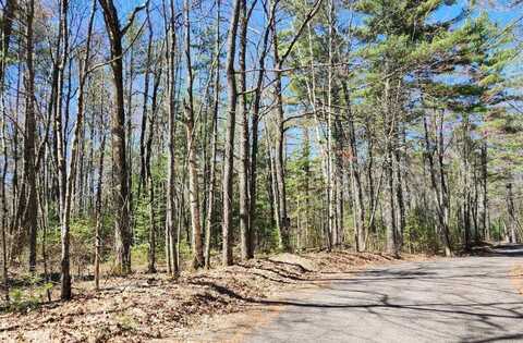 Lot #6 BILLS LAKE RD, Lac du Flambeau, WI 54538