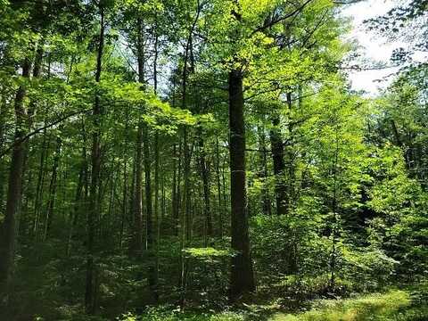 Lot #6 BILLS LAKE RD, Lac du Flambeau, WI 54538