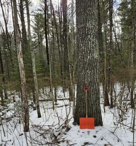 Lot #6 BILLS LAKE RD, Lac du Flambeau, WI 54538