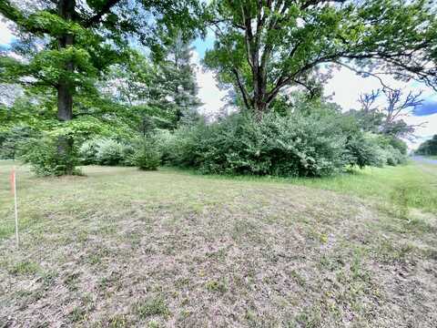 4456 N Evergreen Drive, White Cloud, MI 49349