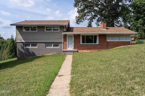 814 Afton Street, Kingsport, TN 37660