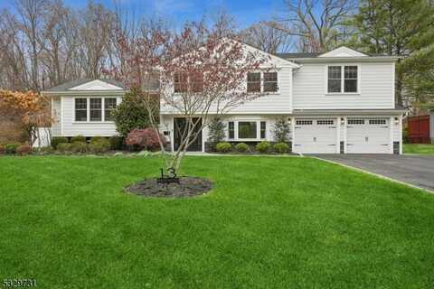 13 Brentwood Dr, Livingston, NJ 07039