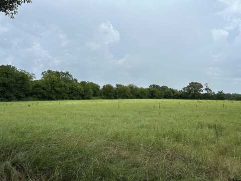 3697 An County Road 309, Frankston, TX 75763