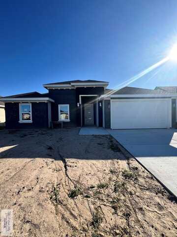 209 JANET CIRCLE S., LA FERIA, TX 78559