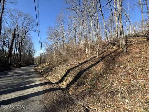 136 Toby Hollow Lane, Knoxville, TN 37931