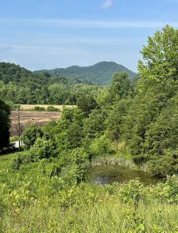 6043 Kyles Ford (23 acres) Highway, Kyles Ford, TN 37765