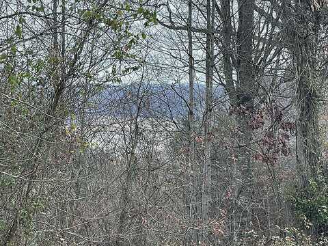 Lot 138 Stillwater, Russell Springs, KY 42642