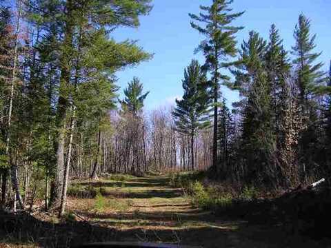 240 Acres Off Schultz Road, Ralph, MI 49877