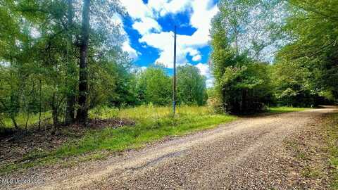 1297 Joe Johnson Road, Bolton, MS 39041