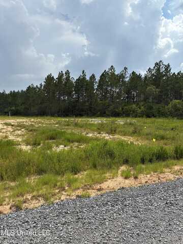 Parcel 4 Angelwood Ln, Kiln, MS 39556