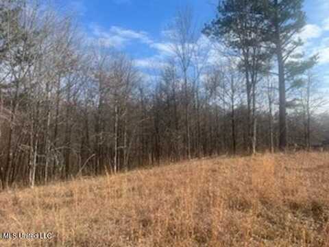 0 S Red Banks Road, Byhalia, MS 38611