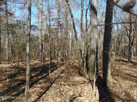 Joe Davis Street, Brandon, MS 39042