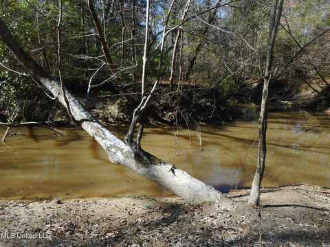 Peter Mcaffee Drive, Brandon, MS 39042