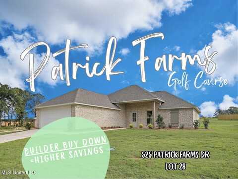 525 Patrick Farms Drive, Pearl, MS 39208