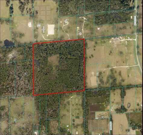 1105 NW HIGHWAY 225, REDDICK, FL 32686