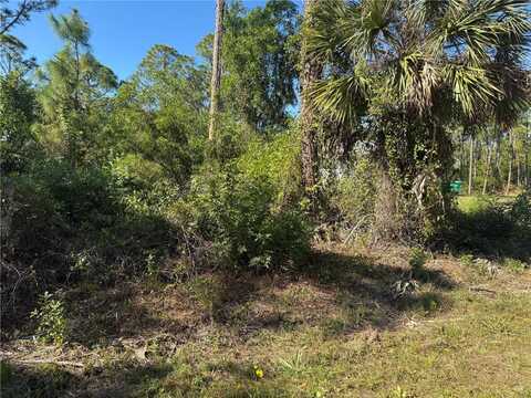 12331 GRAFFITI DRIVE, PUNTA GORDA, FL 33955