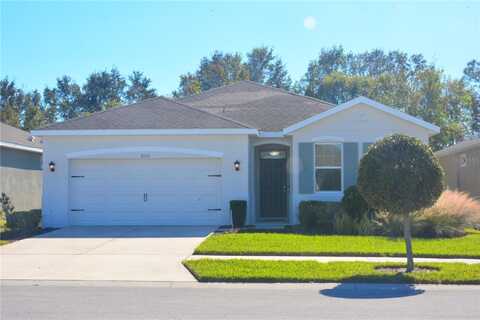 31510 TANSY BEND, WESLEY CHAPEL, FL 33545