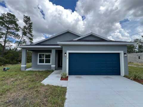 3 FISHER PLACE DRIVE, OCKLAWAHA, FL 32179