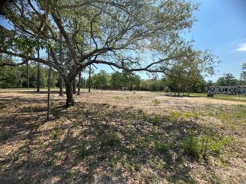 Tbd NE 78TH LANE, BRONSON, FL 32621