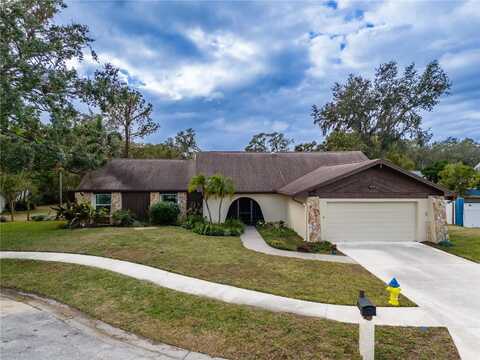 2913 BEAGLE PLACE, SEFFNER, FL 33584